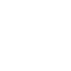 Accueil Icon 1
