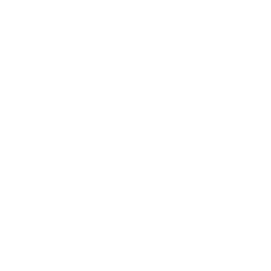 Accueil Icon 2