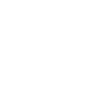 Accueil Icon 3