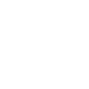 Accueil Icon 4